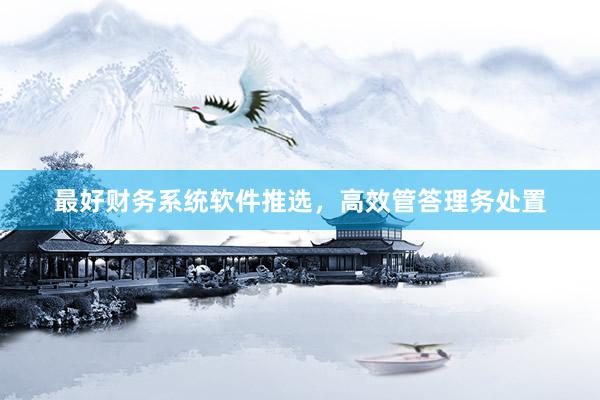 最好财务系统软件推选，高效管答理务处置